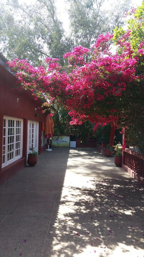 Ferme Hippique Chtouka Bed and Breakfast Dar Said Ben Hajj Εξωτερικό φωτογραφία
